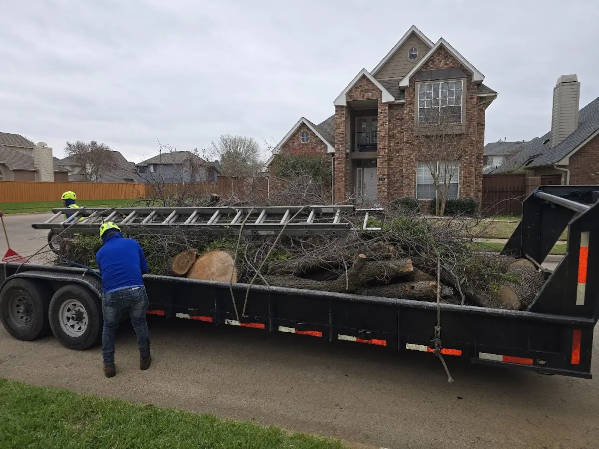 Expert Lot Clearing with proper safety equipment in Reasnor